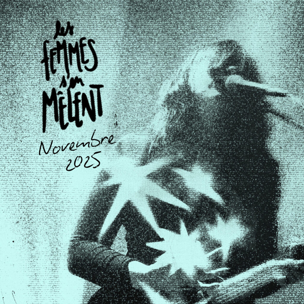 les Femmes s'en Mêlent