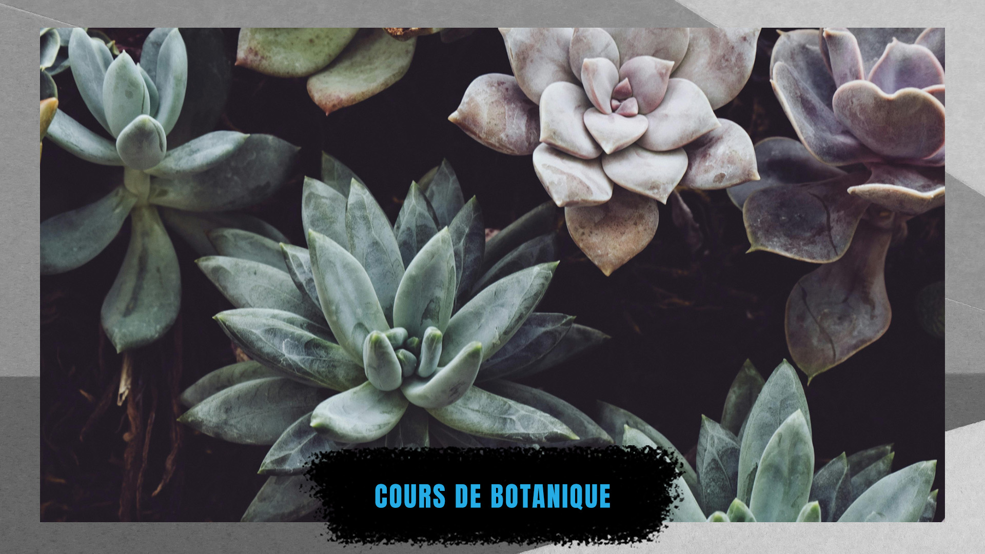 cours de botanique