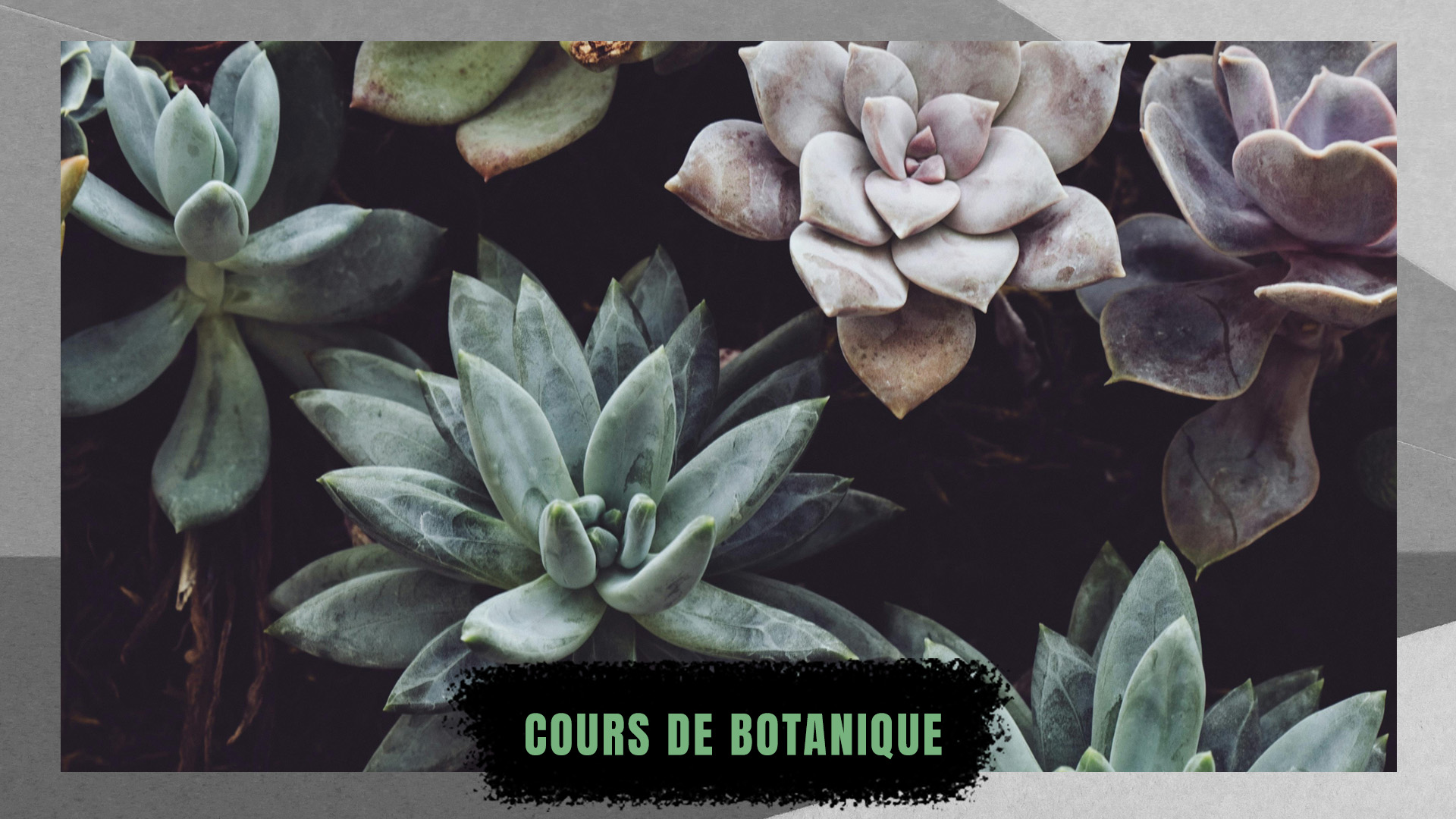 botanique