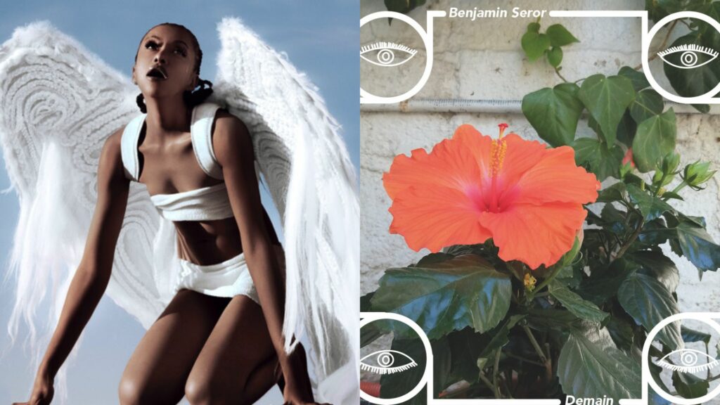 WHAT’S LOVE? : LOW LOV + BENJAMIN SEROR