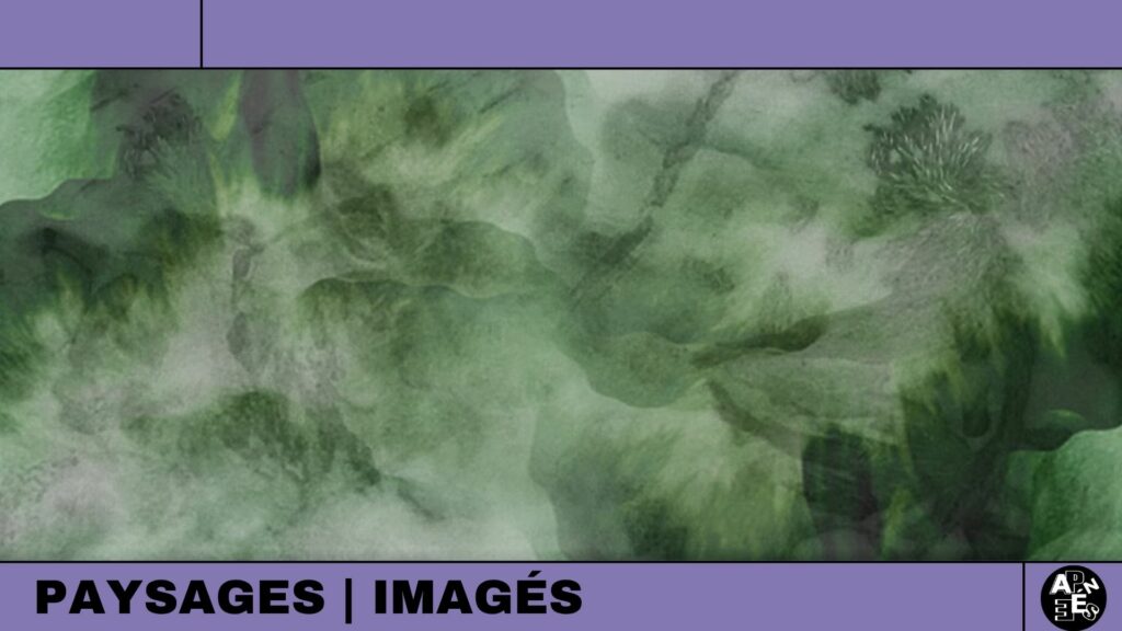 paysages imagés